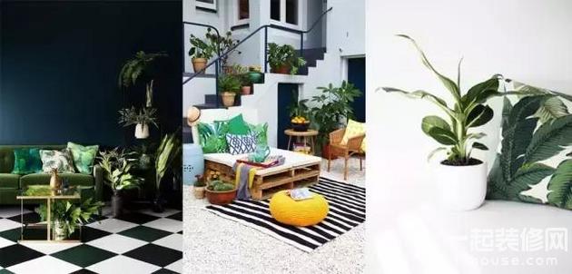 可能你不会养绿植,那就通过这些,给家添点绿吧! 可能你不会养绿植,那就通过这些,给家添点绿吧!
